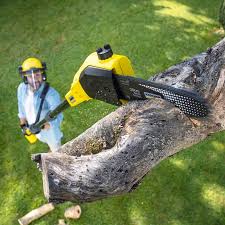 Best Lawn Grading and Leveling  in Ronkonkoma, NY